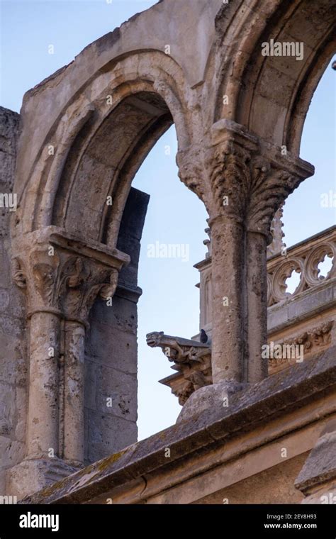 Detail of an stone arch and gargoyle in a gothic cathedral Stock Photo ...