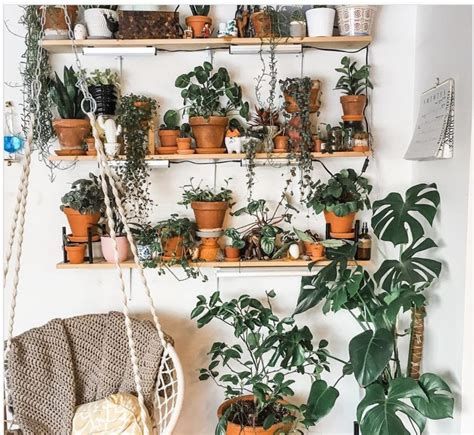 Aesthetic Explorations: Indoor Plants – Aesthetics of Design