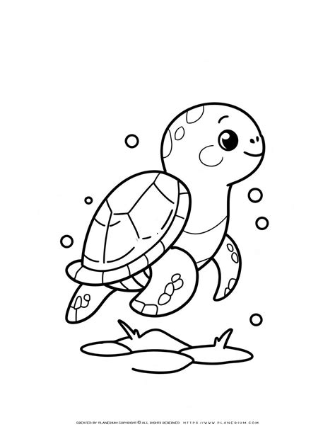 Engage with Learning & Creativity: Cartoon Turtle Coloring Page