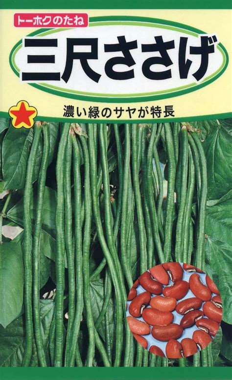 Amazon フタバ種苗 つるなしささげ 緑莢 種・小袋詰20ml約100粒 野菜