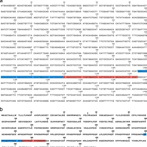 Nucleotide And Deduced Amino Acid Sequences Of EHRG Gene A