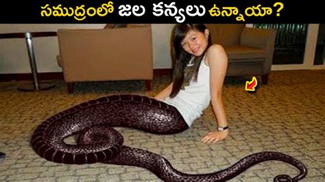 Are Mermaids Real Does Mermaids Exist Truth Behind The Mermaids Existance Telugu Ocean 1