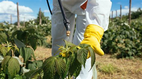 Quais São E Como Utilizar Os Epis Para Aplicação De Defensivos Agrícolas