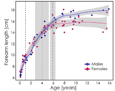 Growth Curves Of Females And Males Fitted With Non Parametric LOESS