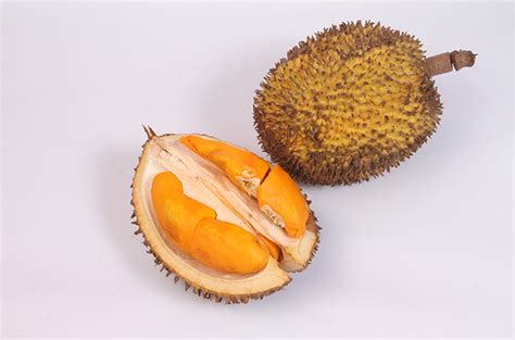 Buah Durian