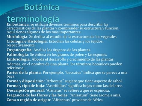 Terminologia Botanica General Y Sus Relaciones PPT