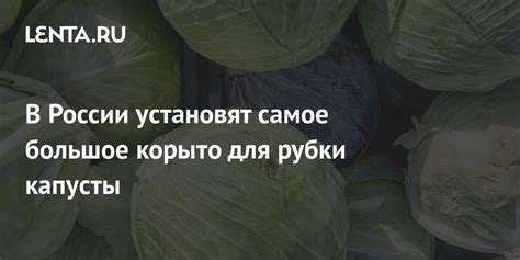 В России установят самое большое корыто для рубки капусты: Достижения ...