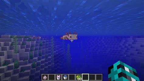 Axolotl Pet - Screenshots - Minecraft Mods - CurseForge