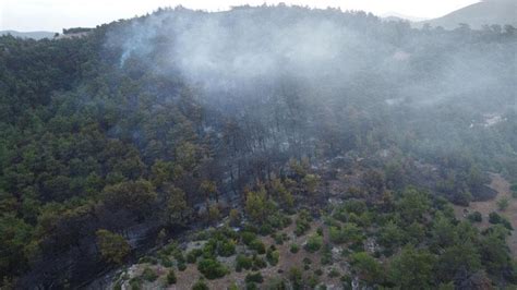 Çanakkale deki orman yangını 16 saat sonra kontrol altında Son Dakika