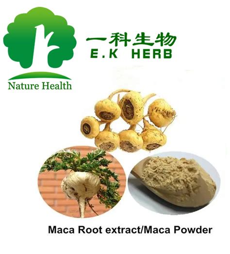 E K Herb Leading Manufacturer Plant Extract Maca Root Extract Tongkat