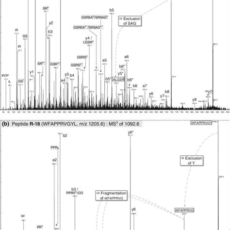 ESI MS MS Spectra Upon CID Of The M H Precursor Ion Of A Peptide