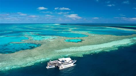 Robot Technology Helping To Save The Great Barrier Reef