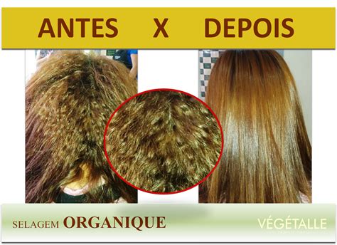 O Que É Selagem Organica - vegetalleprofessionnel: Confira um Antes e Depois da Selagem Organica