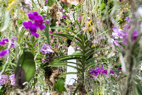 Teamlab Planets In Tokyo Unveils Two New Immersive Living Garden