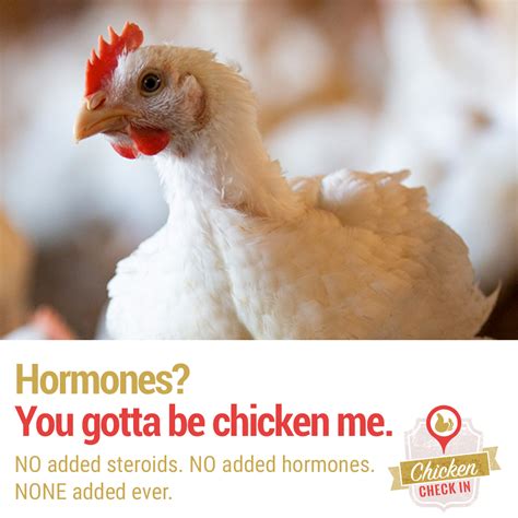 Get The Facts The Truth About Hormones And Steroids In Chicken