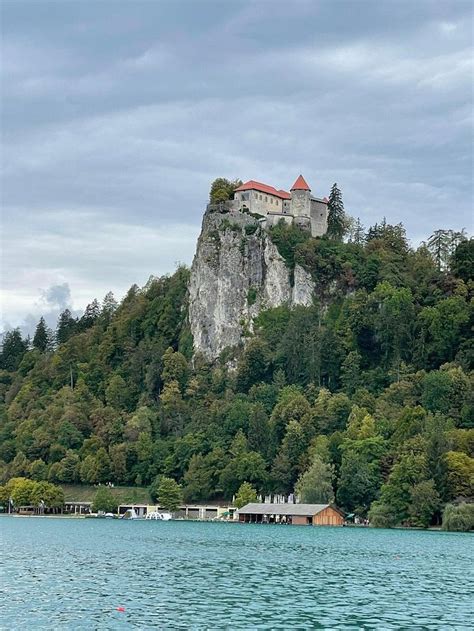 GUEST HOUSE BLED - Prices & Lodge Reviews (Slovenia)