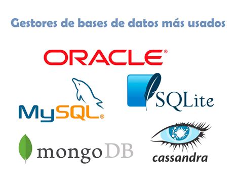 🥇 Gestores De Bases De Datos Más Usados 2024