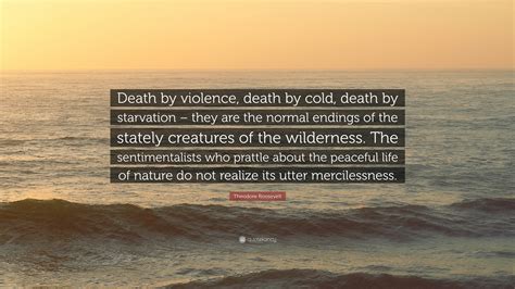 Theodore Roosevelt cause of death study impacts historical theories 21