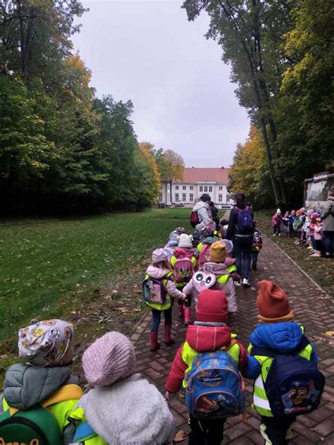 Nasza Pierwsza Wycieczka Wielkopolski Park Narodowy Przedszkole Nr