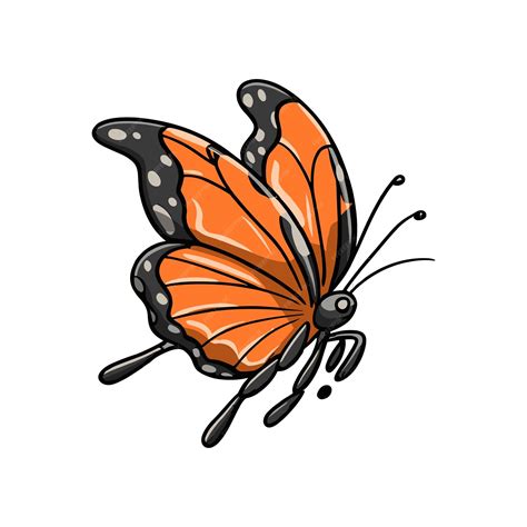 Premium Vector Monarch Butterfly Flying Illustration