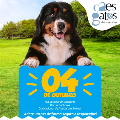 De Outubro Dia Mundial Dos Animais Dia Do Cachorro Dia