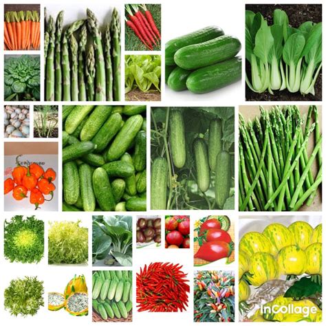 Jual Paket Terlengkap Isi Terbanyak Bibit Sayuran Benih Sayur Buah