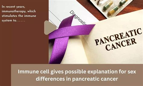 Immune Cell Gives Possible Explanation For Sex Differences In Pancreatic Cancer