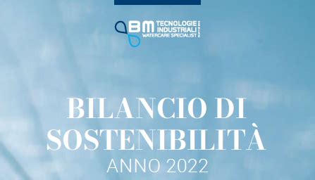 Bmtecnologie Industriali Bm Pubblica Il Suo Primo Bilancio Di