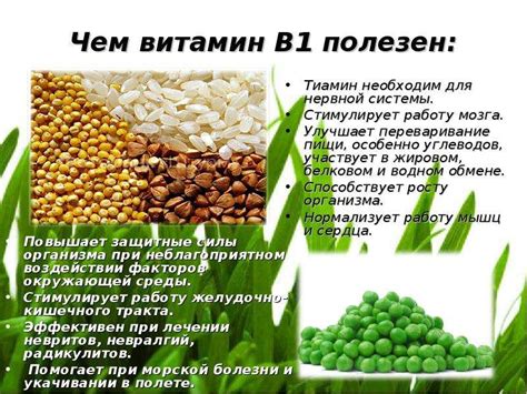 Витамин В1 - презентация, доклад, проект скачать