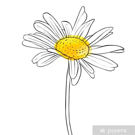 Poster Dessin Vectoriel De Fleur De Marguerite FR PIXERS BE