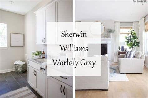 Sherwin Williams Worldly Gray