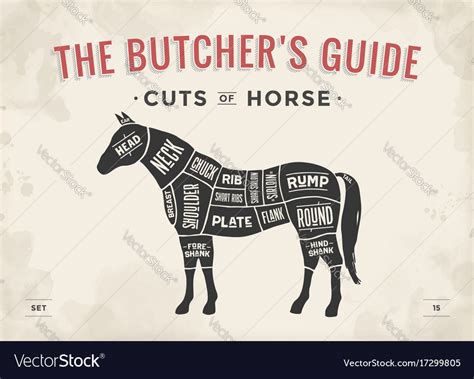 Cut Meat Set Poster Butcher Diagram Scheme Vector Image