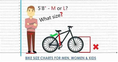 Bike Size Charts By Height (MTB, Road, & Hybrid Bicycles)