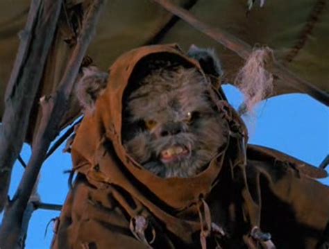 Remember the Time When the Ewoks Had a Movie | Complex