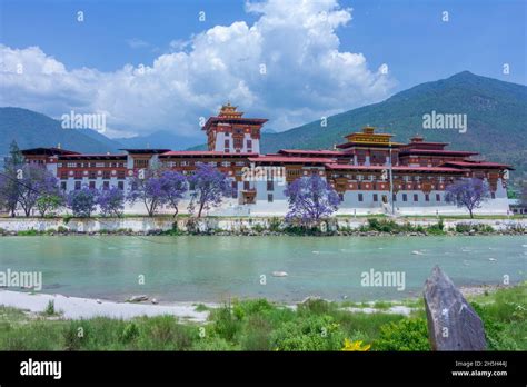 Punakha Dzong - Bhutan Stock Photo - Alamy