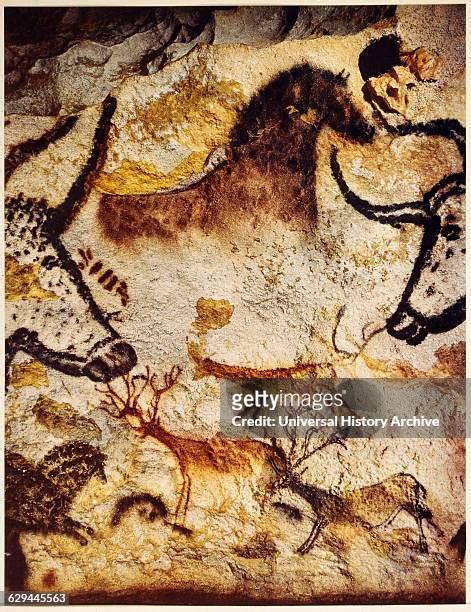 417 Lascaux Cave Paintings France Stock Photos, High-Res Pictures, and ...