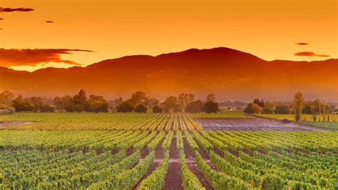 21 Must-Visit California Wine Regions - Next Vacay