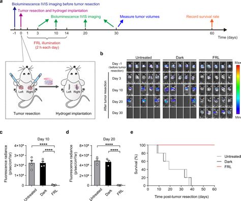 B F Cells Perkinelmer Bioz