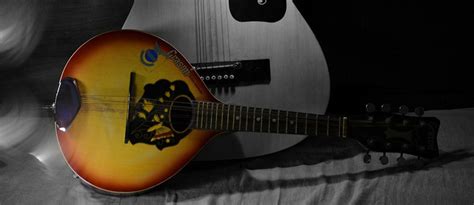 Best Mandolin Brands & Top 7 Beginner Mandolin Reviews 2024