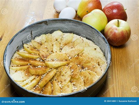 Baking an apple pie stock photo. Image of cake, sugar - 3041488