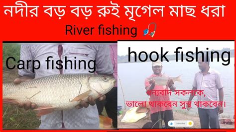 নদীর বড় রুই ও মৃগেল মাছ ধরা। Amazing Big Rohu And Mrigal Carp Fishing