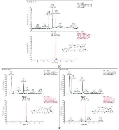 Total Ion Chromatogram Above And Extracted Ion Chromatogram With Download Scientific Diagram