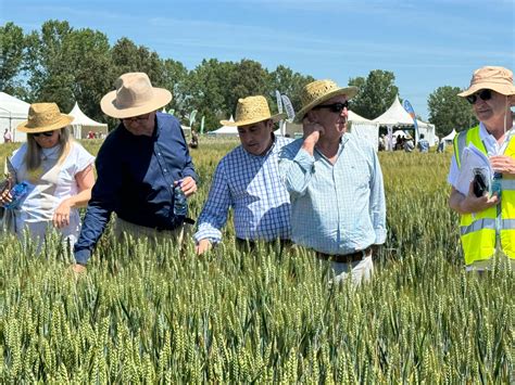 Innovación En Agricultura Y Ganadería Un Impulso Para Atraer A Los Jóvenes Al Campo Agronews