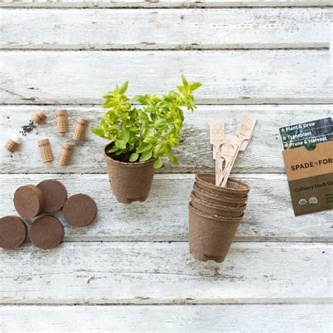 Go Green with this Organic Seed Starter Kit | Family Handyman