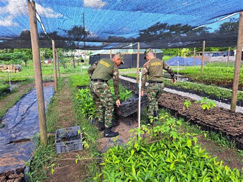 Cuarta Divisi N Del Ej Rcito Nacional On Twitter Colombia Siembra