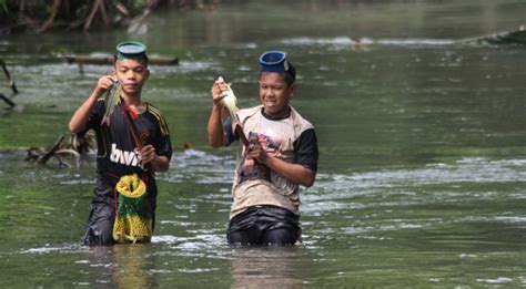 Tradisi Menangkap Ikan Di Sumatera Barat Okezone Travel