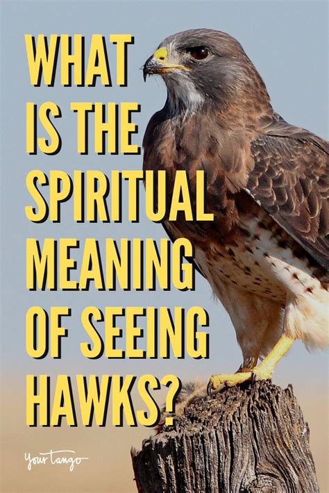 Hawk Symbolism Meaning Spirit Totem Power Animal 46 Off