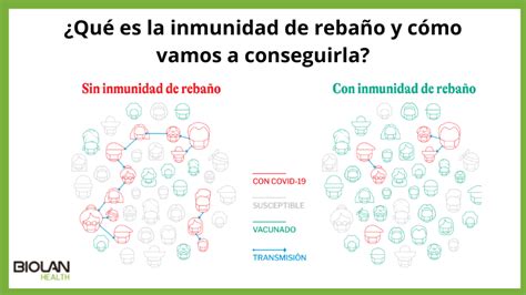 Qué es la inmunidad de rebaño y cómo vamos a conseguirla BIOLAN HEALTH