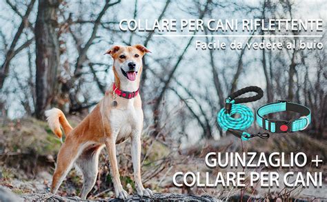 Haapaw Collare Riflettente Per Cani Con Morbido Neoprene Traspirante