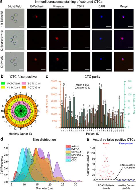 Ctc Characterization Phenotype Identification False Positive Capture